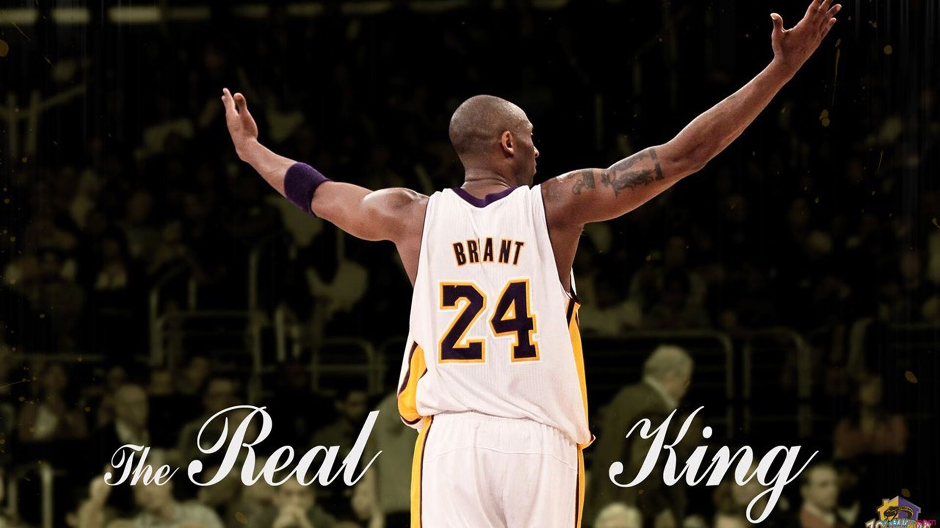 爱游戏官方-当F1引擎在安第斯山轰鸣，一场被强行终结的玻利维亚之梦